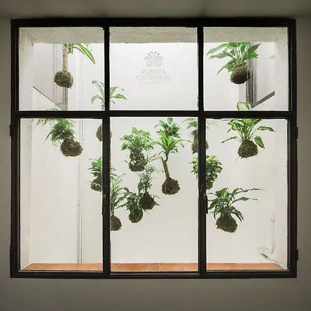 Puerta Catedral * Sevilla